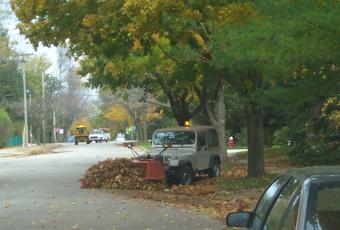 Autumn leaf cleanup