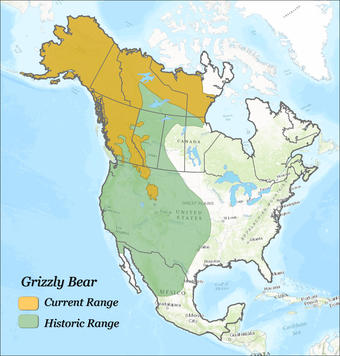 Map showing historical and current grizzly bear range in North America.