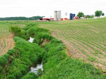 Photo showing a small stream flowing through corn fields in northern Indiana.
