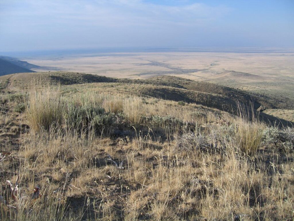 Restoration Handbook for Sagebrush Steppe Ecosystems, Part 2 ...